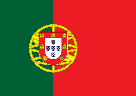 Português - Bandeira Brasil